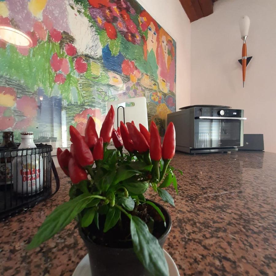 Loft Trabucco - In The Heart Of Salo City Center, Lake View, 4 Rooms Экстерьер фото